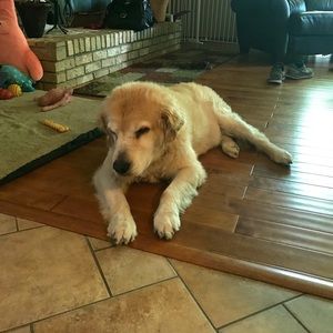 Meet your Posher, Nicholas